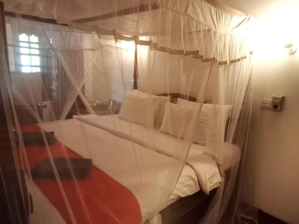 Surf Sea Breeze Hotel Mirissa Eksteriør billede